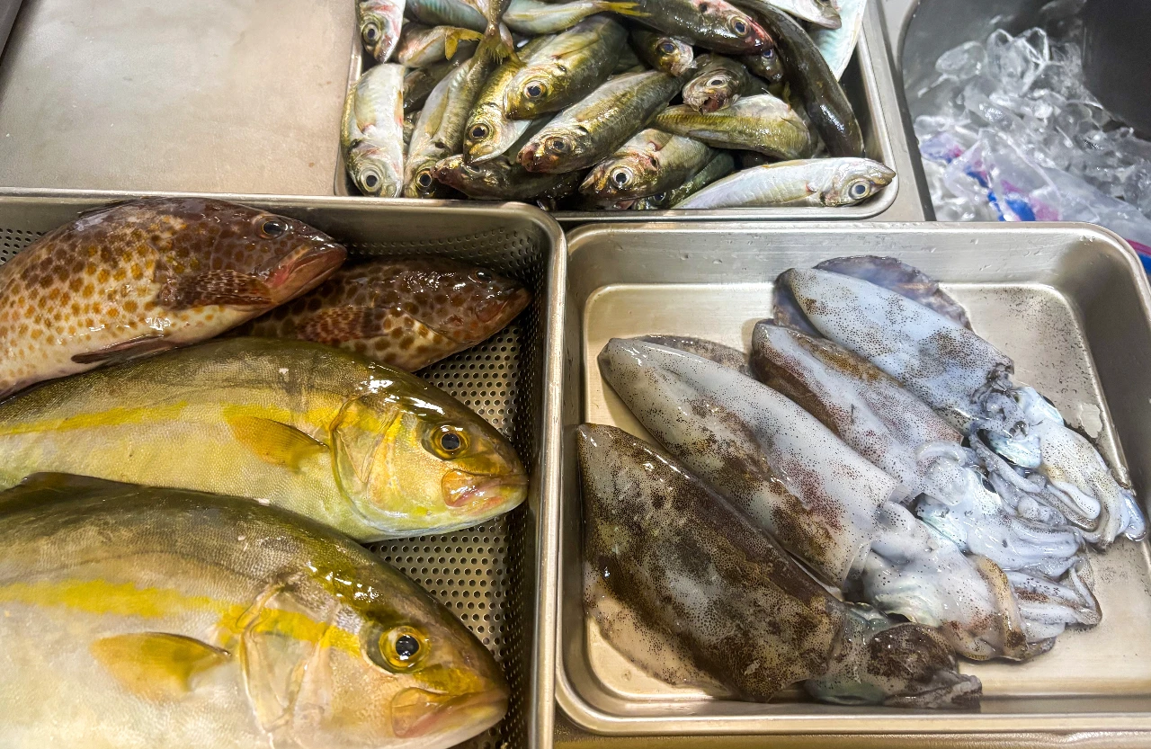南伊勢町で釣ってきた魚達がトレイに並べられています。カンパチの幼魚、オオモンハタ、アオリイカ、マメアジです。マメアジは50匹以上います